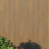 Fassadenverkleidung Birke 290CM | Garten | 3D Holzmaserung