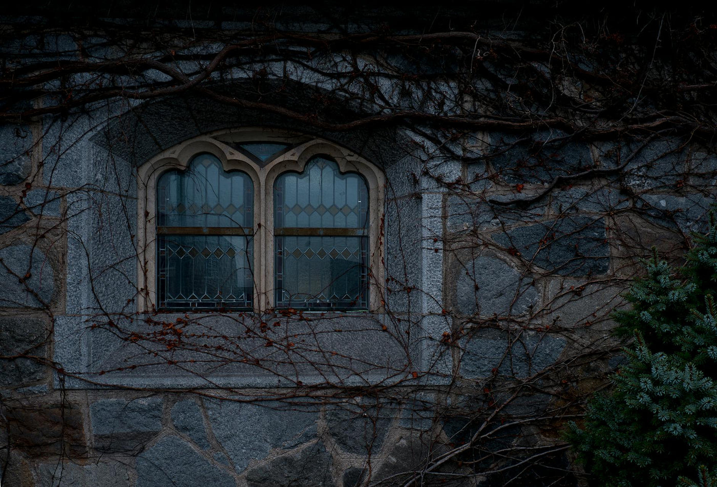 A detailed look at a Gothic stone building's window adorned with climbing vines in Schwertberg, Austria.